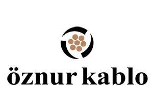 Çözüm Ortağı